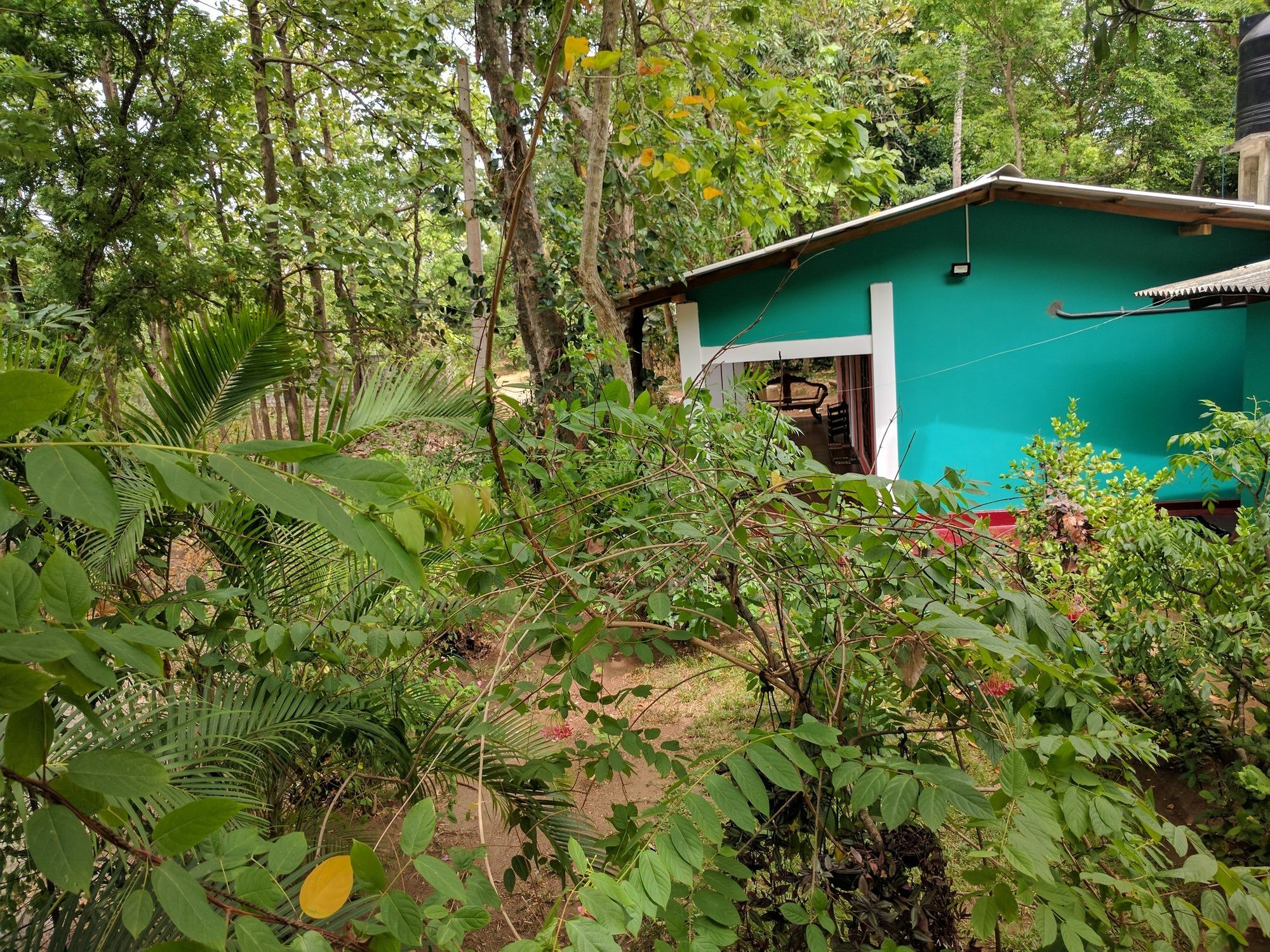 Palitha Homestay Sigiriya Exterior foto